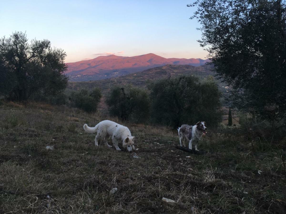 La Banditaccia Monticello Amiata Luaran gambar