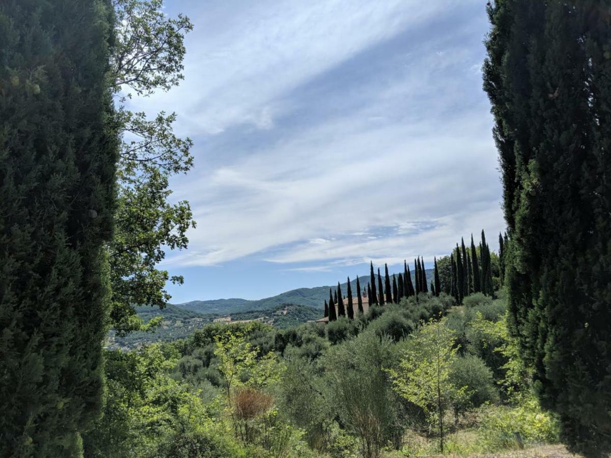 La Banditaccia Monticello Amiata Luaran gambar